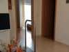 boravek ap 4